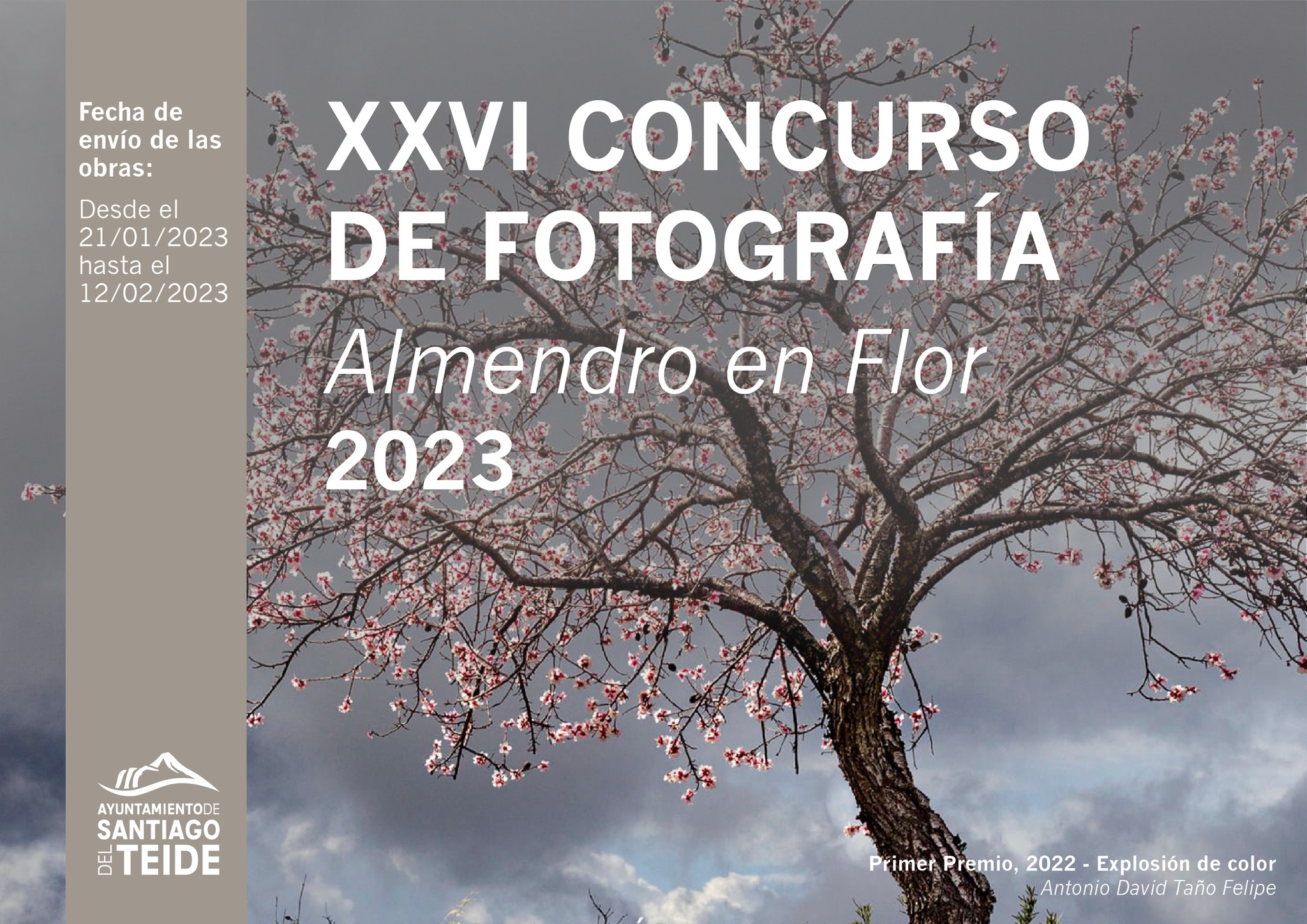 El Ayuntamiento presenta la XXVI edición del Concurso de Fotografía Almendro en Flor 2023