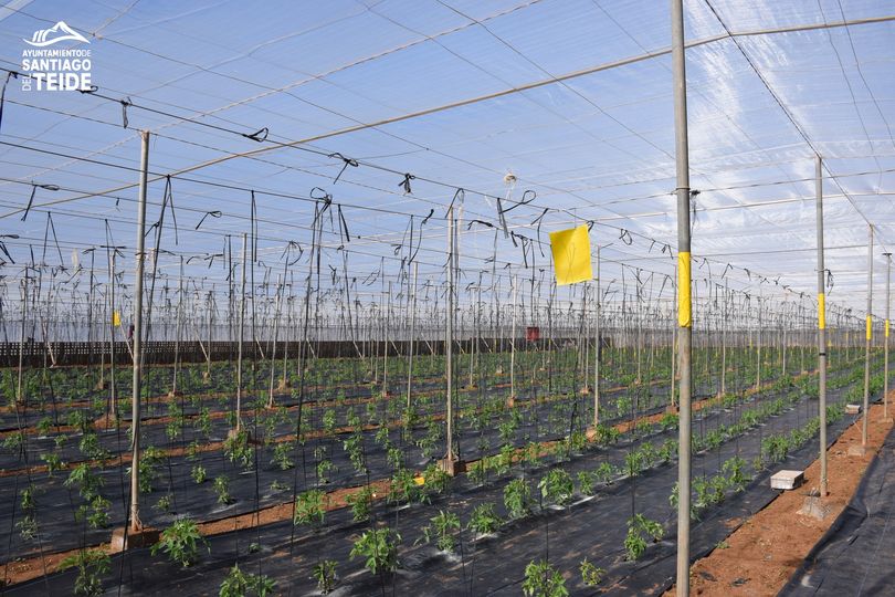 El Ayuntamiento abona las subvenciones al sector primario local