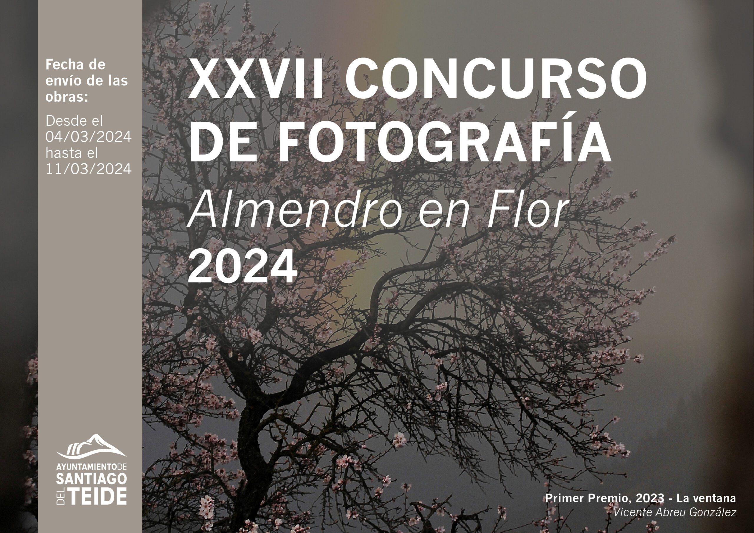 El ayuntamiento presenta la XXVII edición del Concurso de Fotografía Almendro en Flor 2024