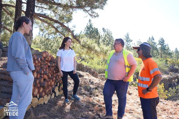 Santiago del Teide trata más de 1.100 almendros, un compromiso con su paisaje rural