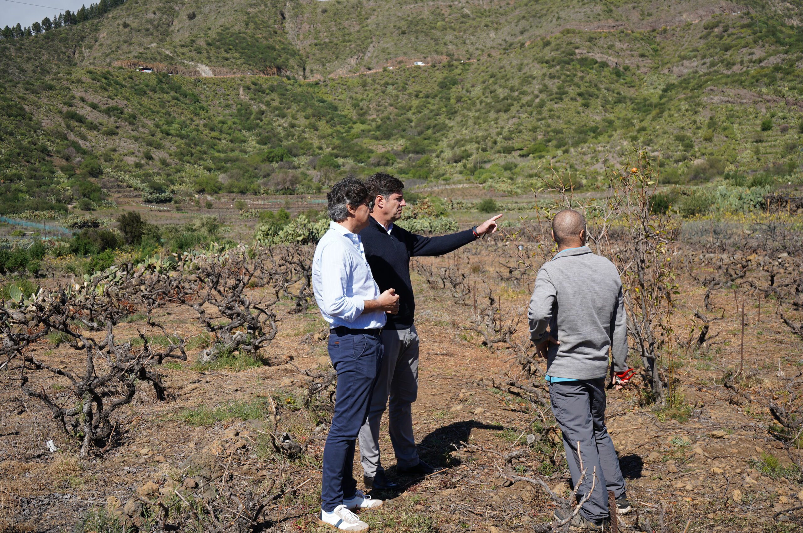 El ayuntamiento apoya con 60.000€ al sector primario del municipio