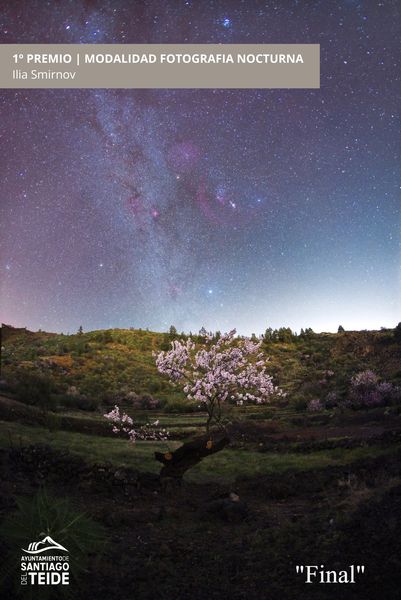 El ayuntamiento da a conocer los premios del XXVII Concurso de Fotografía “Almendro en Flor” 2024